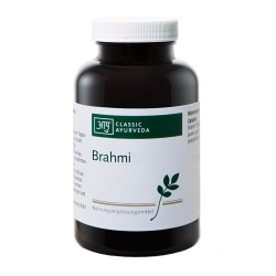 Brahmi, 450 Tabletten