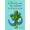 Christ and Krishna, Steven J. Rosen